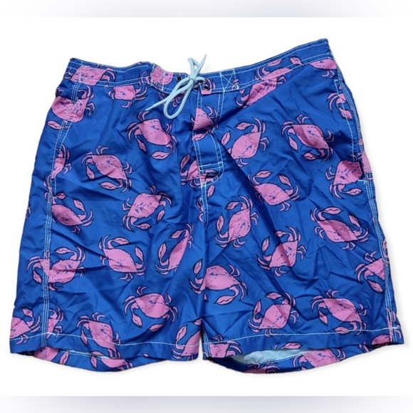 Trunks Surf & Swim Co Other - Trunks Surf & Swim Co Men's XL Sano Lined Swim Shorts EUC